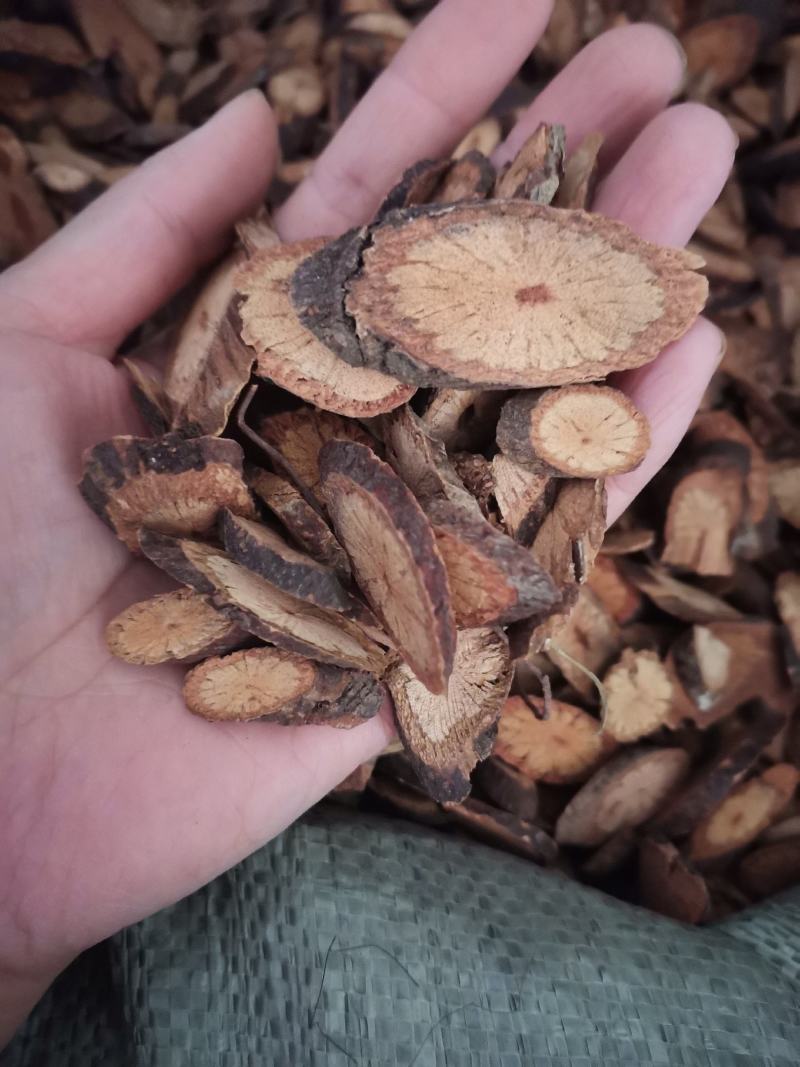 夜交藤可视频看货精品药材