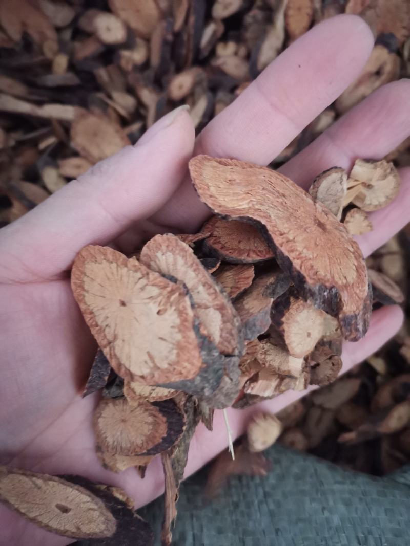 夜交藤可视频看货精品药材
