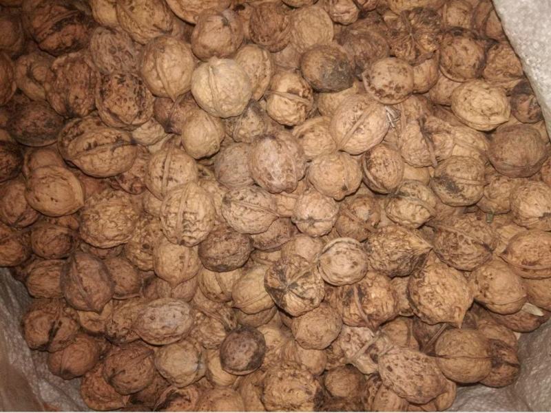 核桃薄皮核桃养生核桃贵州大山核桃，保证新鲜，果肉充实