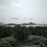 东海岸万亩柑橘种植基地陆续上市
