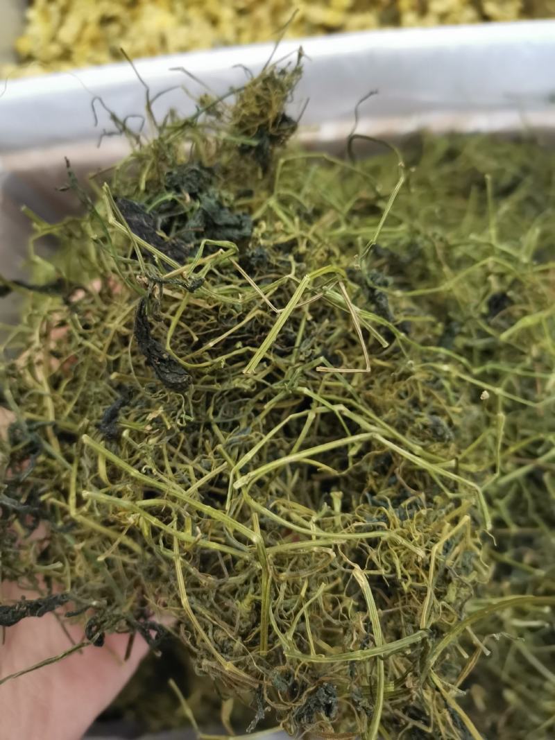 绞股蓝平利野生绞股蓝茶三高茶一斤包邮到家