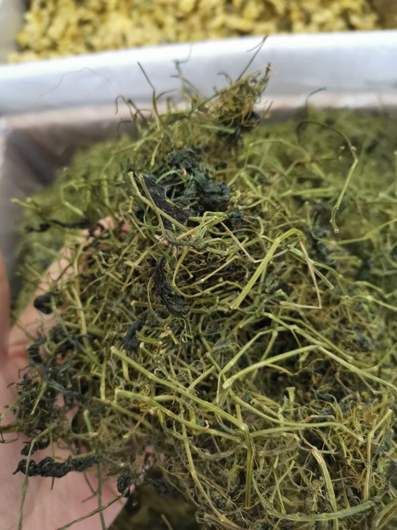 绞股蓝平利野生绞股蓝茶三高茶一斤包邮到家