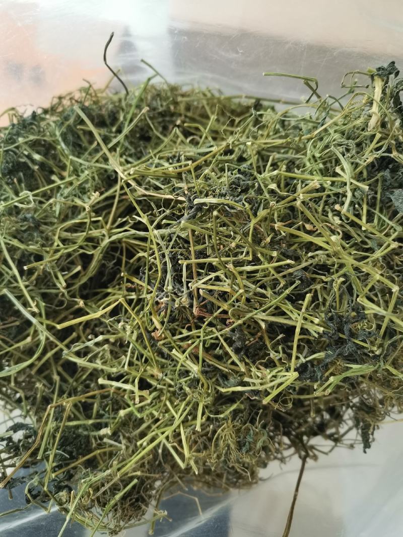 绞股蓝平利野生绞股蓝茶三高茶一斤包邮到家
