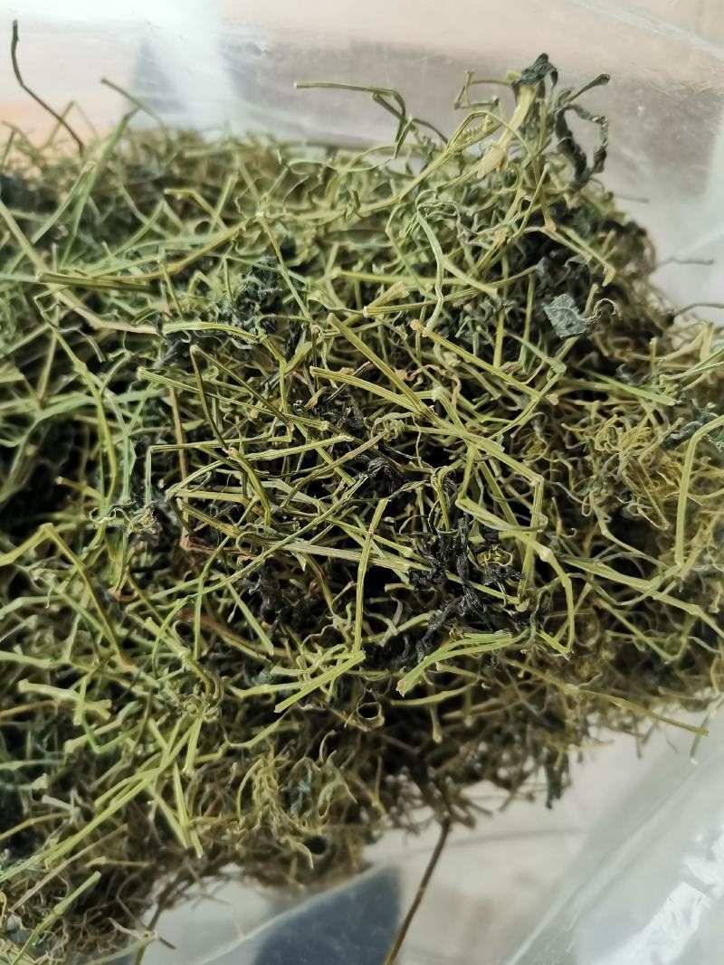 绞股蓝平利野生绞股蓝茶三高茶一斤包邮到家