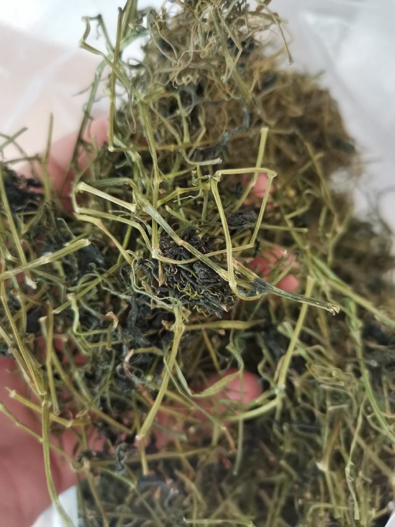 绞股蓝平利野生绞股蓝茶三高茶一斤包邮到家