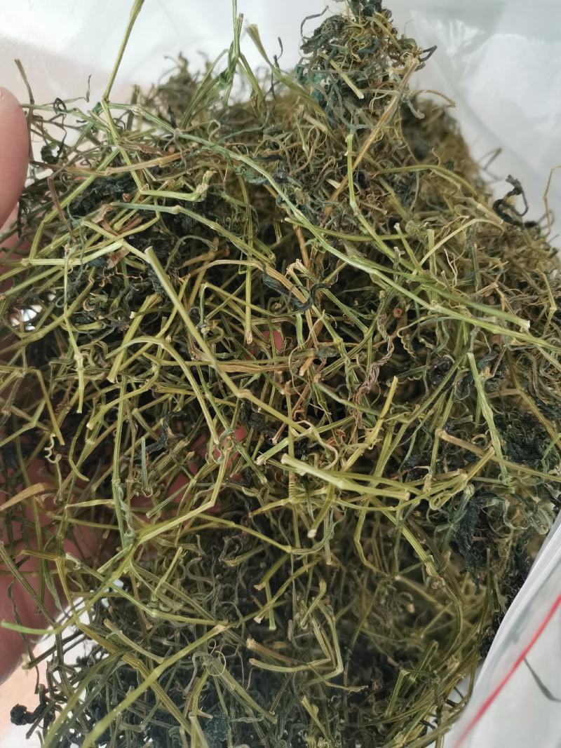 绞股蓝平利野生绞股蓝茶三高茶一斤包邮到家