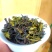 土山茶潮汕高山茶大坪土山茶诏安汀洋八仙茶惠来土山茶高山茶