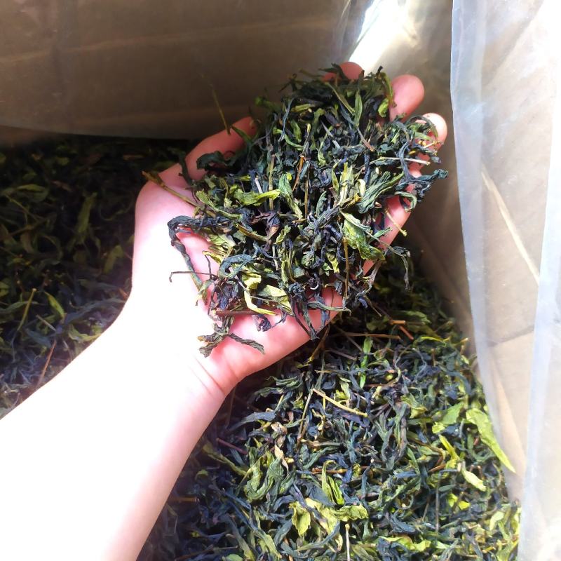土山茶潮汕高山茶大坪土山茶诏安汀洋八仙茶惠来土山茶高山茶