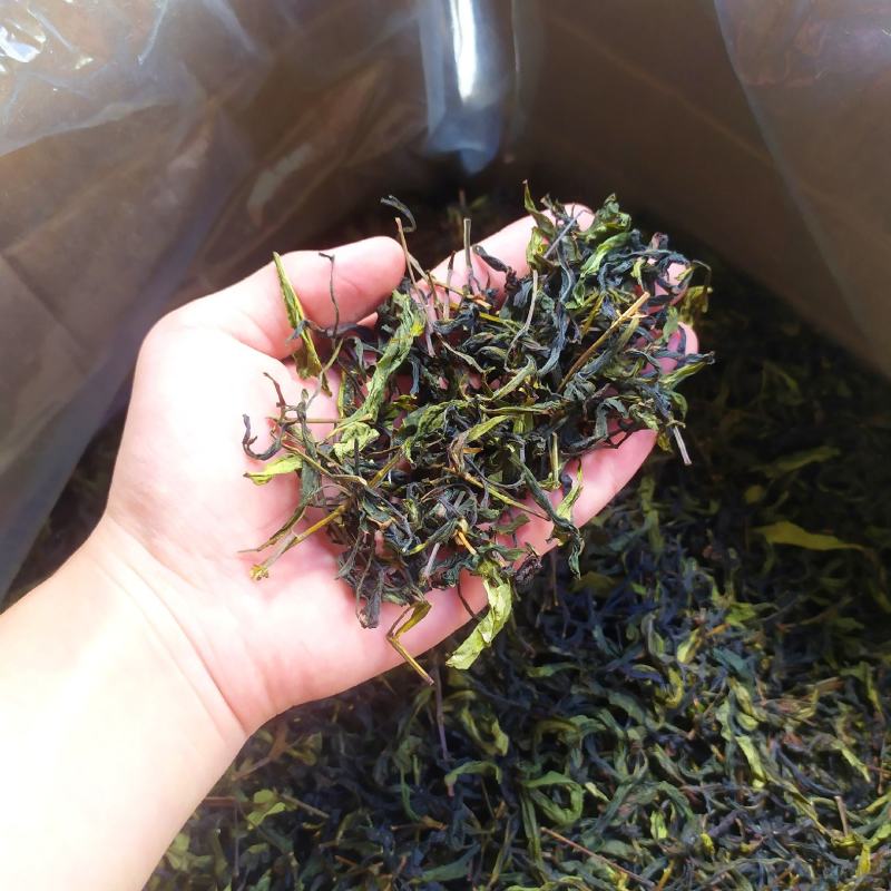 土山茶潮汕高山茶大坪土山茶诏安汀洋八仙茶惠来土山茶高山茶