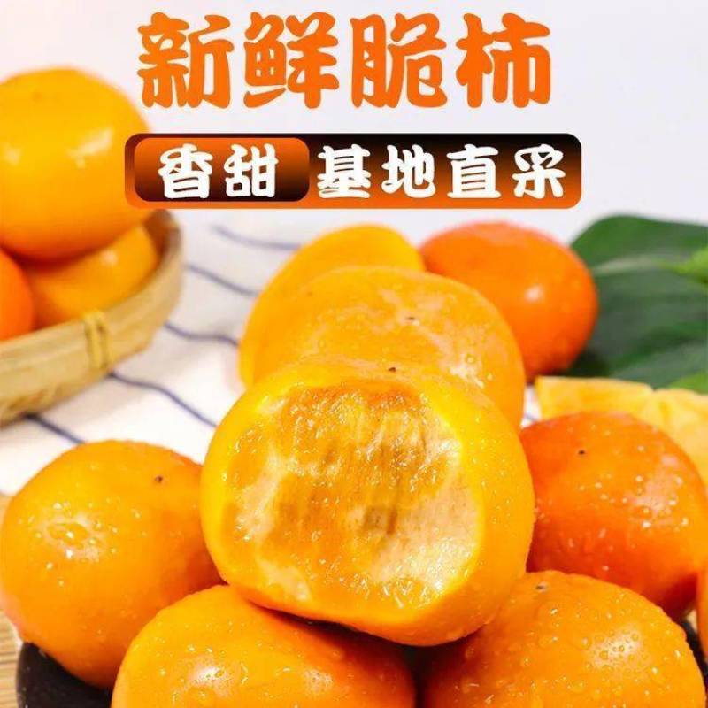 阳丰脆柿子，电商平台发货，支持一件代发！