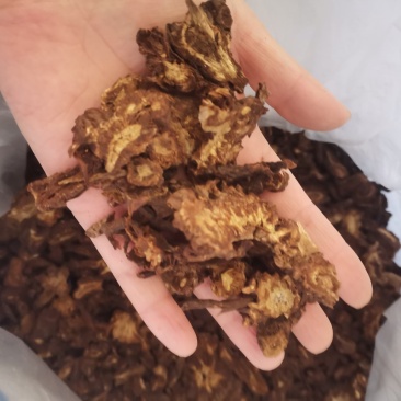 【诺一药材】羌活川羌活精品药材可视频看货