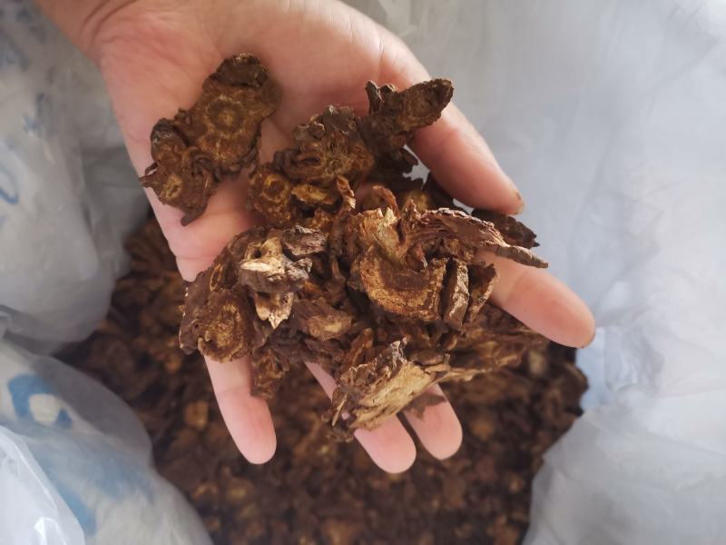 【诺一药材】羌活川羌活精品药材可视频看货