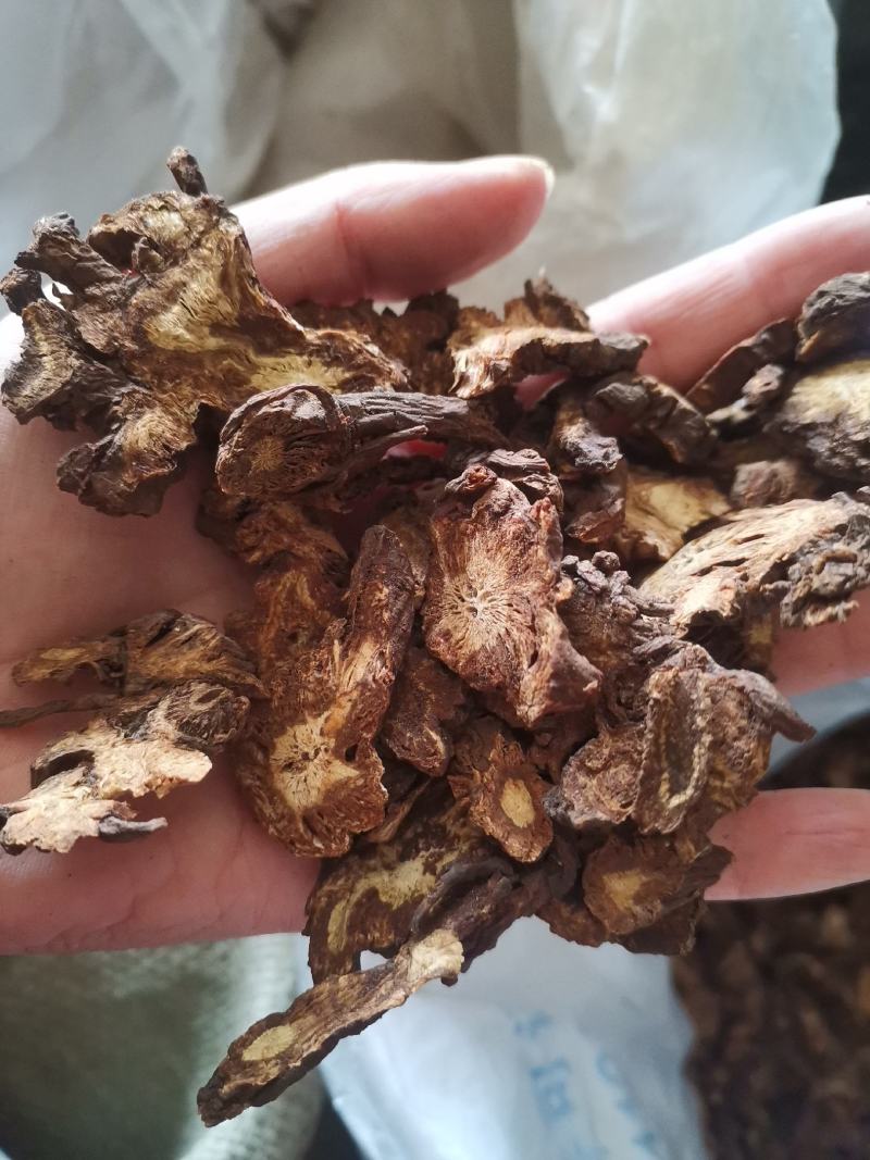 【诺一药材】羌活川羌活精品药材可视频看货