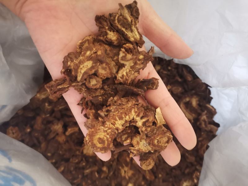 【诺一药材】羌活川羌活精品药材可视频看货