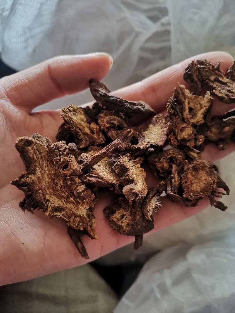 【诺一药材】羌活川羌活精品药材可视频看货