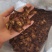 【诺一药材】羌活川羌活精品药材可视频看货