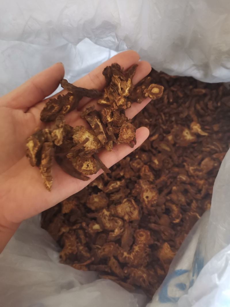 【诺一药材】羌活川羌活精品药材可视频看货