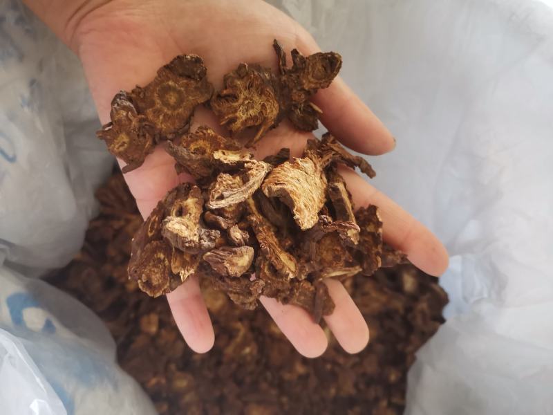 【诺一药材】羌活川羌活精品药材可视频看货