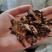 【诺一药材】羌活川羌活精品药材可视频看货