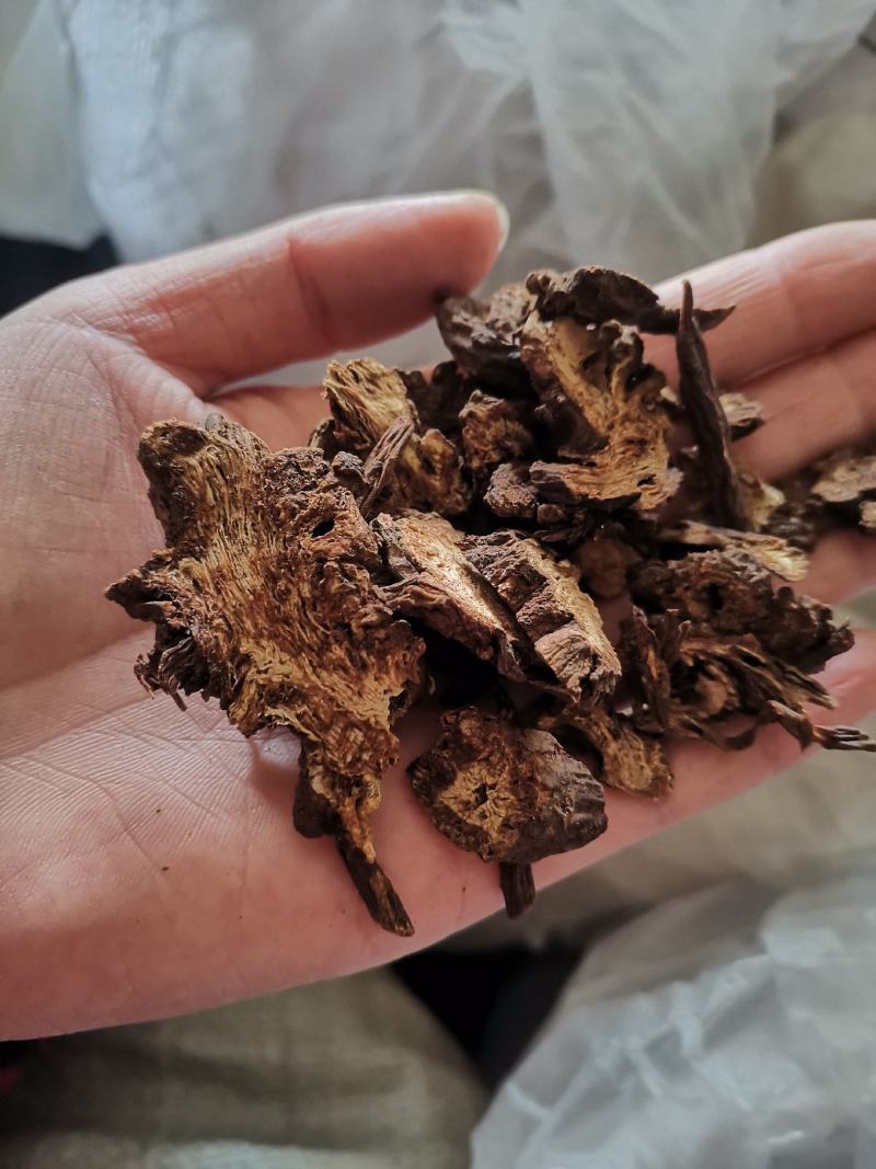 【诺一药材】羌活川羌活精品药材可视频看货