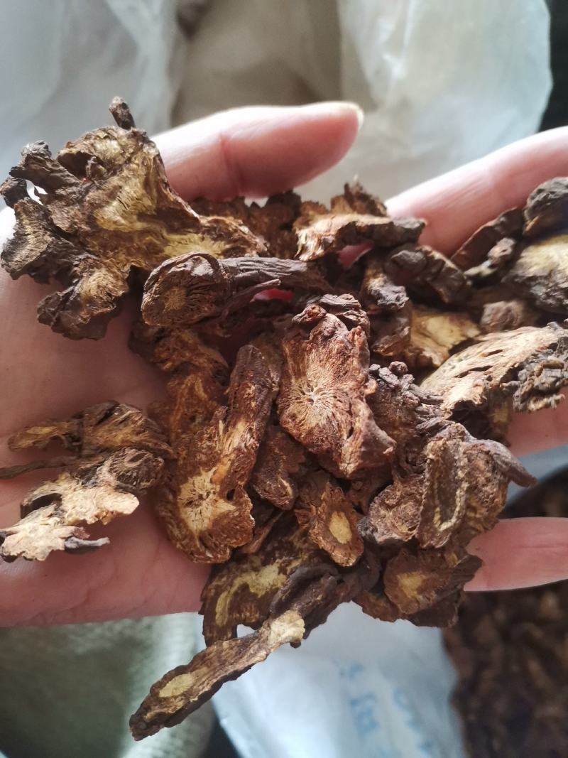 【诺一药材】羌活川羌活精品药材可视频看货