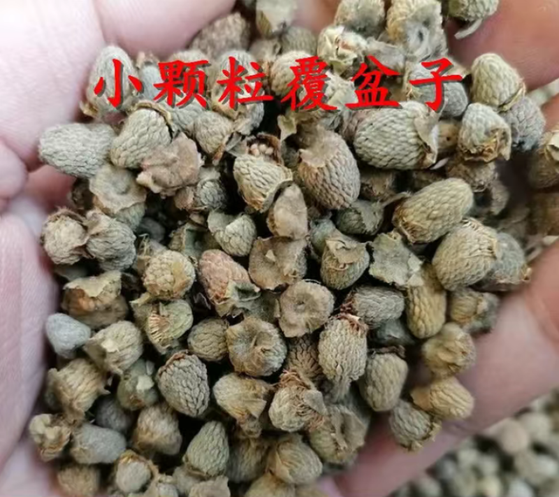覆盆子中药材野生小粒覆盆子干果