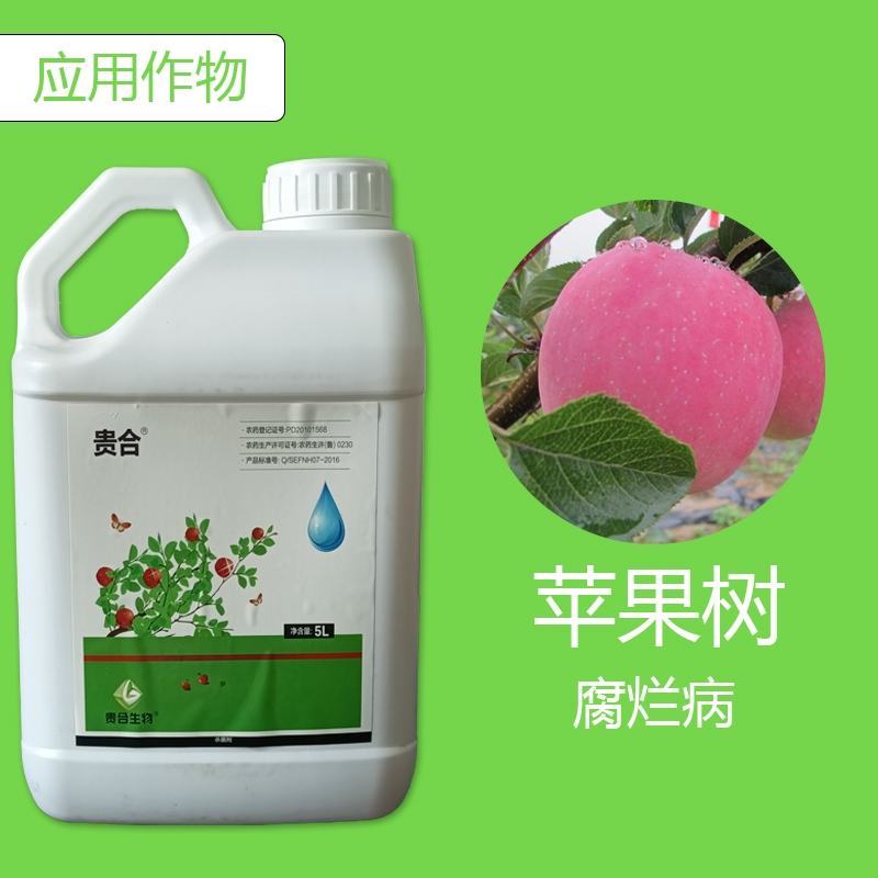 5公斤贵合辛菌胺醋酸盐花卉苹果树腐烂病柑橘立枯果绣病溃疡