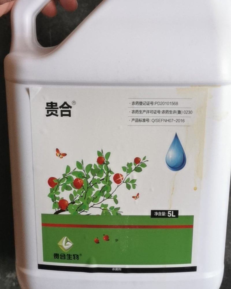 5公斤贵合辛菌胺醋酸盐花卉苹果树腐烂病柑橘立枯果绣病溃疡