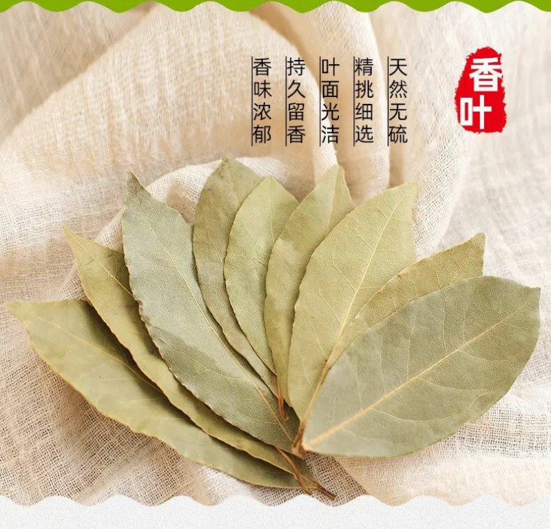 特绿香叶月季叶香叶火锅卤料香料调味