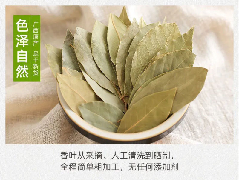 特绿香叶月季叶香叶火锅卤料香料调味