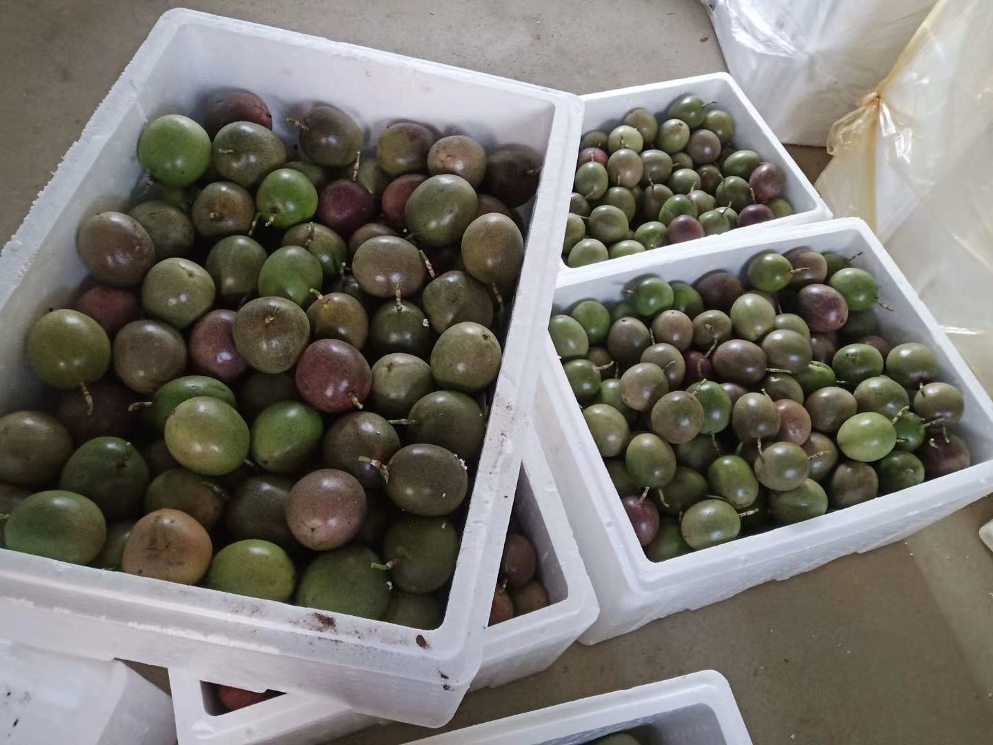 高血糖人群享用黄金百香果饮品