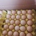 黄河滩散养柴鸡蛋
