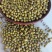 芽豆中粒进口的芽菜豆中粒绿豆生豆芽专用一袋起