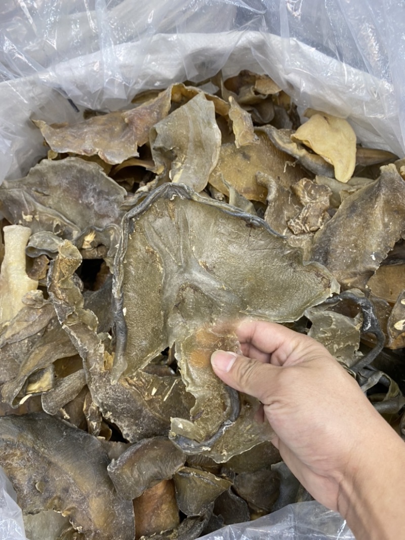 甲鱼裙边大片超厚肉水鱼裙边龟板胶酒楼酒店专用大头数裙边