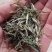 信阳毛尖商城高山茶