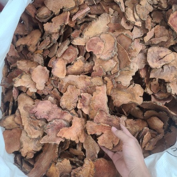 土茯苓红肉白肉颜色好，白肉漂亮精选大片