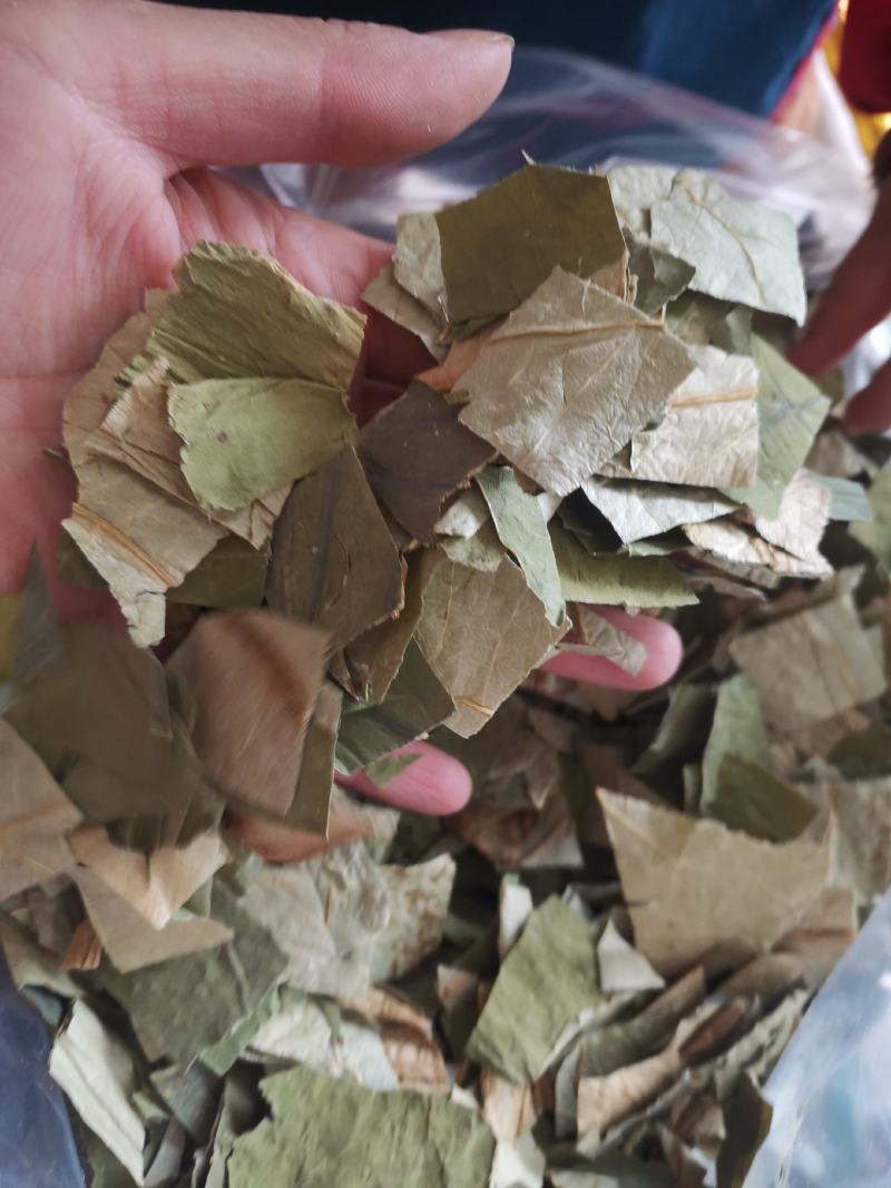 【诺一药材】荷叶荷叶片精品药材可视频看货