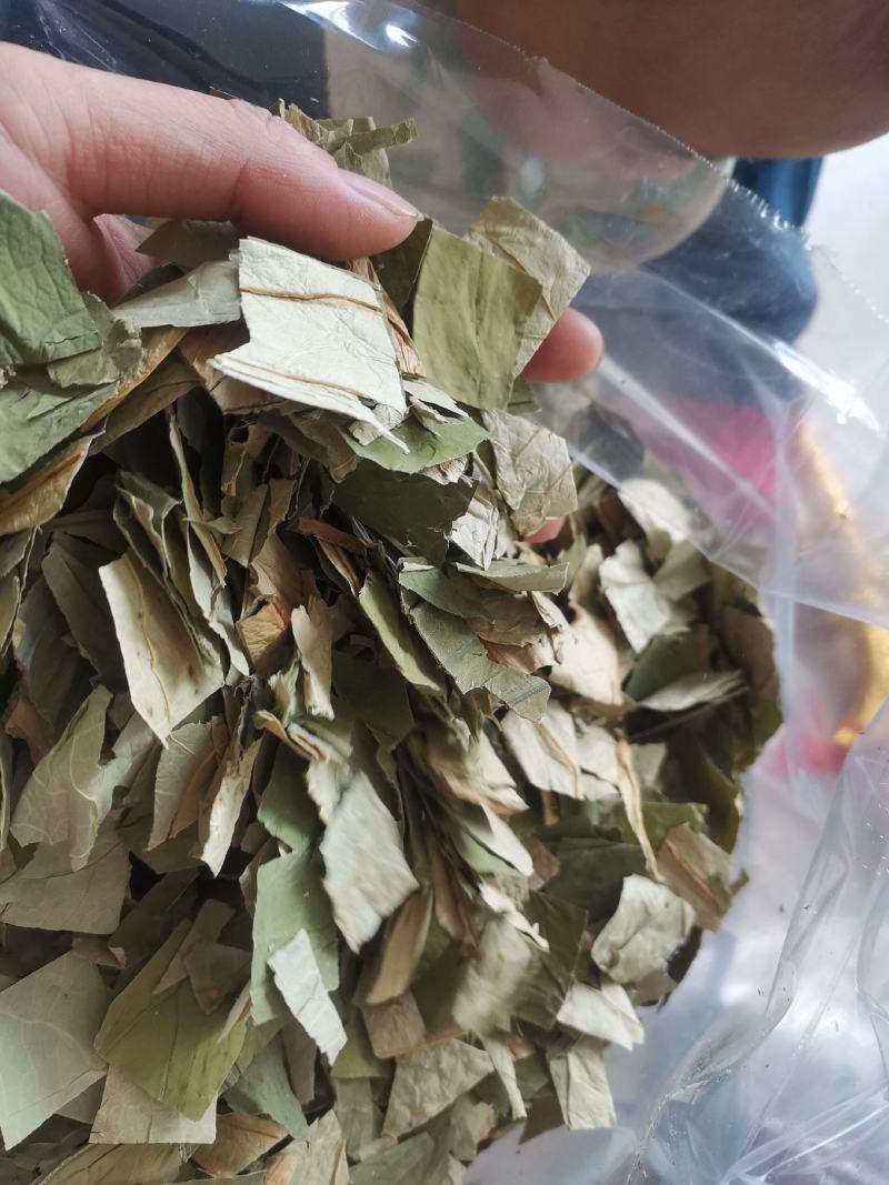 【诺一药材】荷叶荷叶片精品药材可视频看货