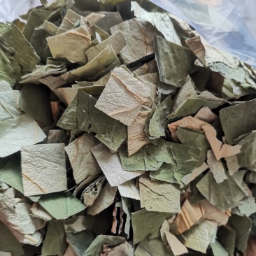 【诺一药材】荷叶荷叶片精品药材可视频看货