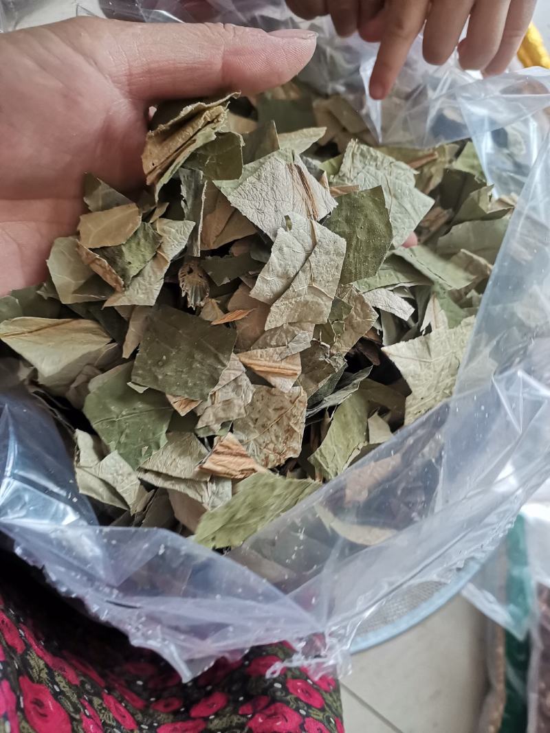 【诺一药材】荷叶荷叶片精品药材可视频看货
