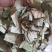 【诺一药材】荷叶荷叶片精品药材可视频看货