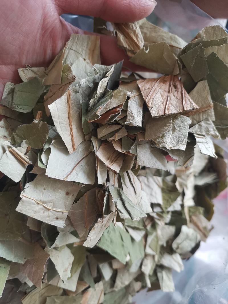 【诺一药材】荷叶荷叶片精品药材可视频看货