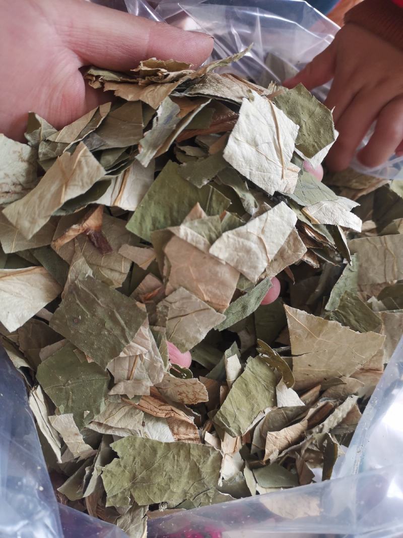 【诺一药材】荷叶荷叶片精品药材可视频看货