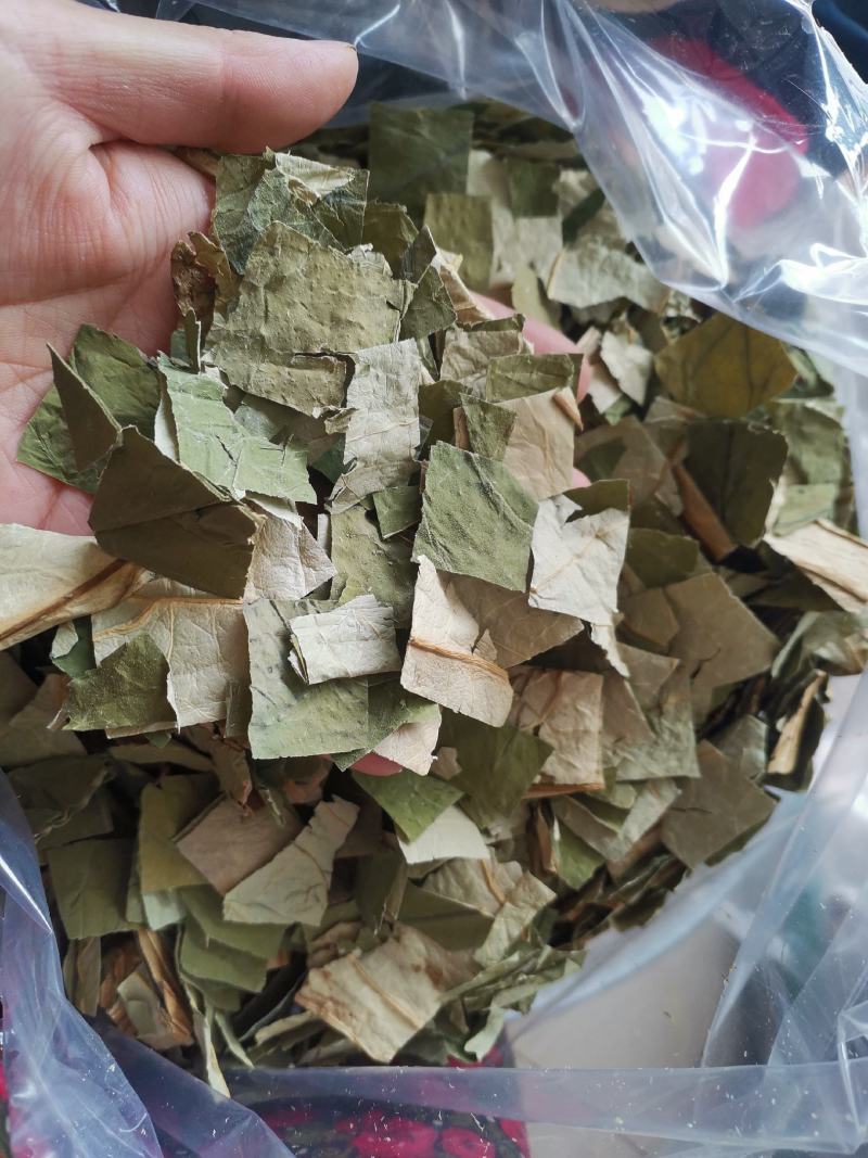 【诺一药材】荷叶荷叶片精品药材可视频看货