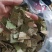 【诺一药材】荷叶荷叶片精品药材可视频看货