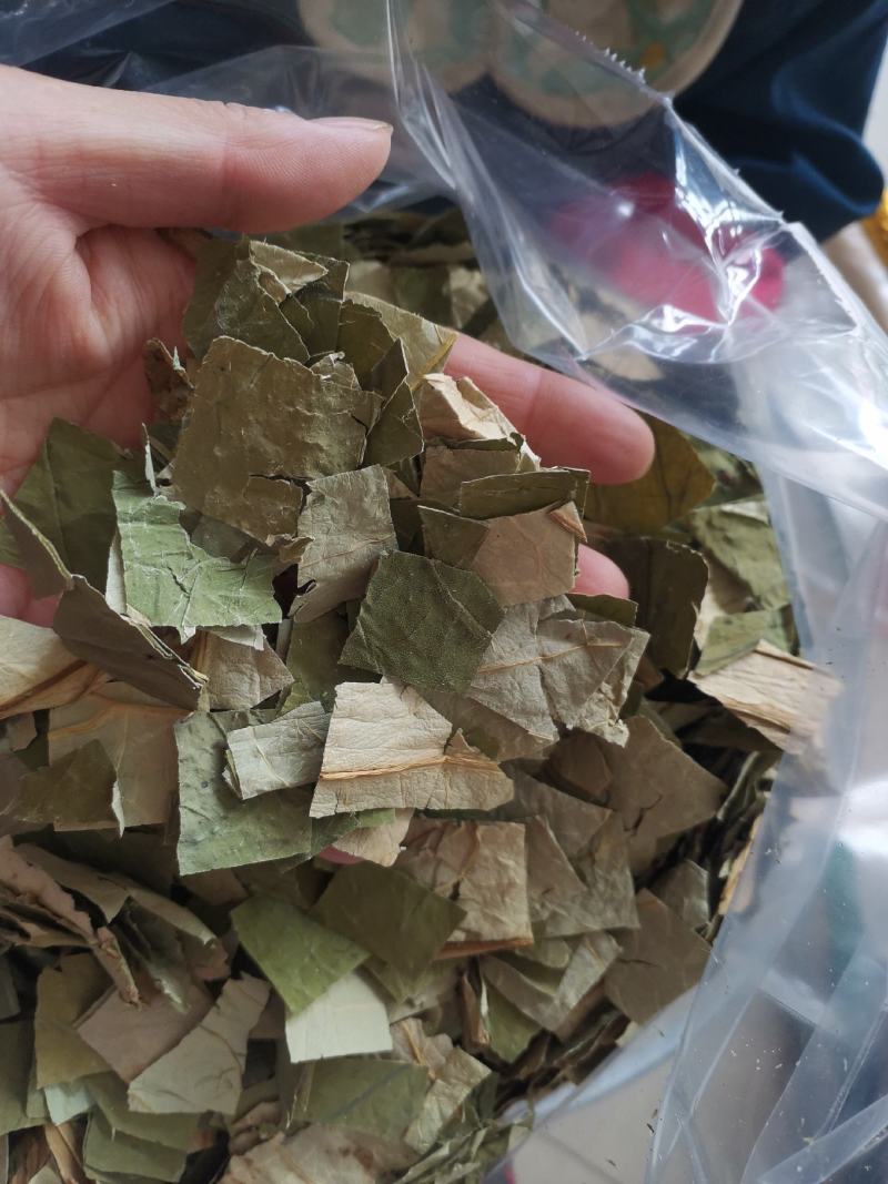 【诺一药材】荷叶荷叶片精品药材可视频看货