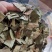 【诺一药材】荷叶荷叶片精品药材可视频看货