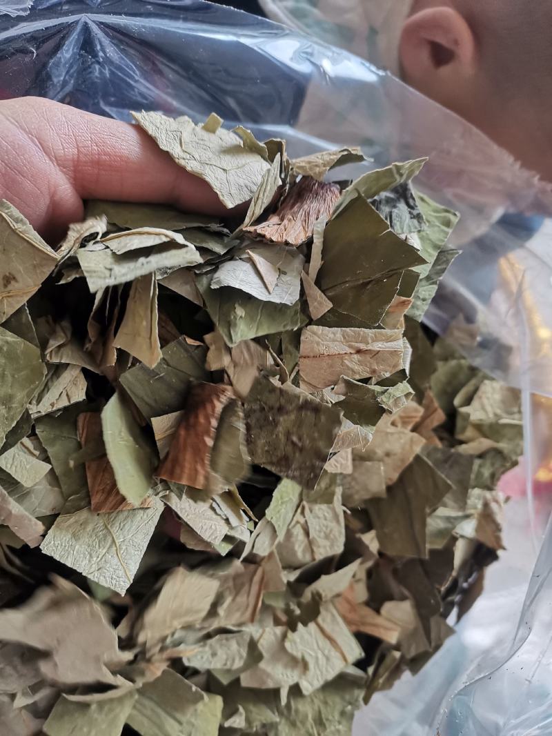 【诺一药材】荷叶荷叶片精品药材可视频看货