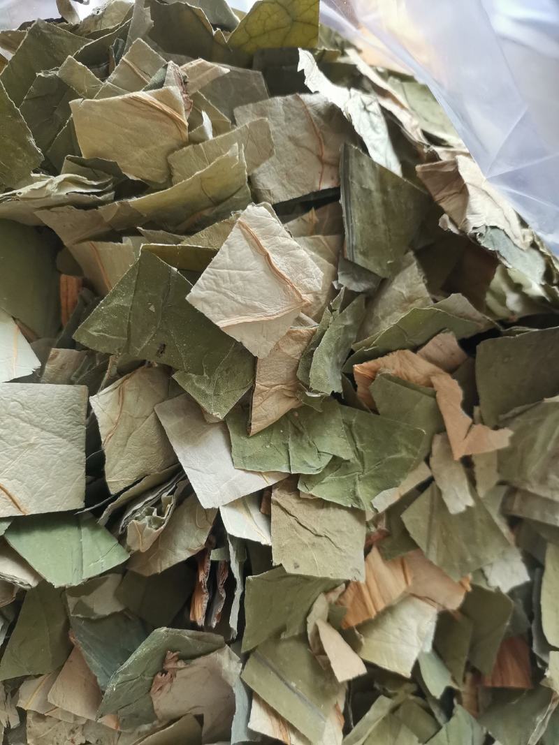 【诺一药材】荷叶荷叶片精品药材可视频看货