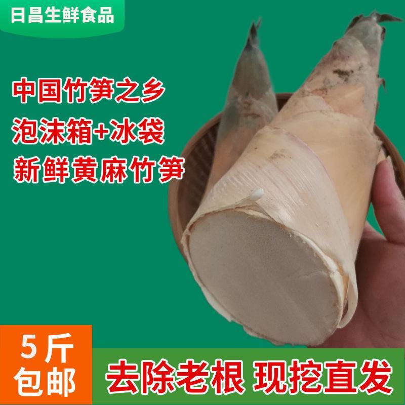 竹笋竹笋新鲜笋新鲜春笋夏笋鲜竹笋现挖苦笋甜笋竹笋批发蔬菜